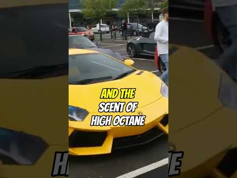 The Incredible Scene When You See Every Supercar In One Place  #Supercars #AutomotiveExcellence
