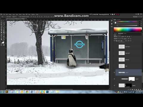 Polar Bus Stop process record