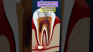 #LOwfeescollegesforB.D.S#Dental#admissionsopen#medicalcounselling#dentist#dentalcollege#dentalstudet