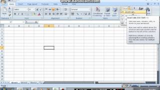 5 Modifying a Worksheet