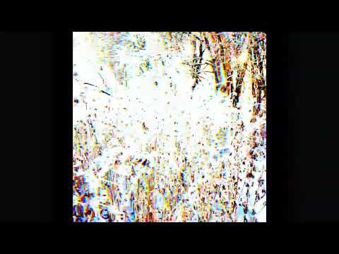 free for profit (hz type)