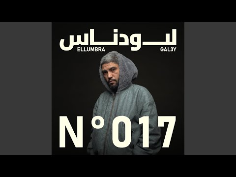No. 017