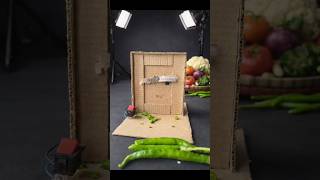DIY cutter machine science project work