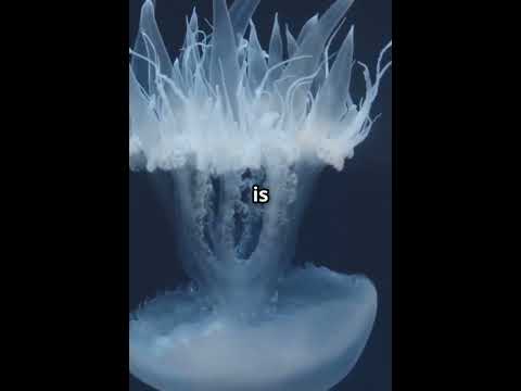 5 Terrifying Ocean Facts That Are 100% Real