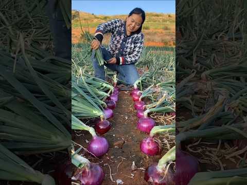 onion 🧅 eating challenge #fruitlover #cooking #food