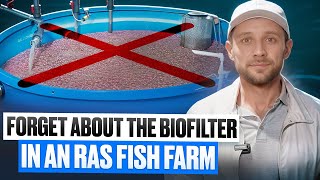 This device REPLACES filtration on a RAS Fish farm! Biofilter in RAS Is NO LONGER Needed?