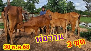 พ่อวาน 064-198-9226 บ.หนองแสง อ.ปทุมราชวงศา จ.อำนาจเจริญ //30พ.ค.68