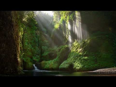 飯碗的彼岸 - 你是一片葉子