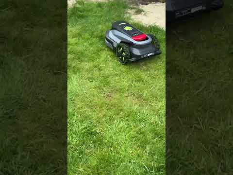 Larmer ikke særlig meget som man høre mange andre gør😊 #robot #lawnmower #lawncare #schou