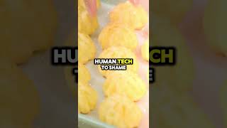 The Secret GPS of Animals Nature’s Mind-Blowing Navigation Tricks