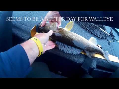 DAY 3 AT MILLE LACS MINNESOTA