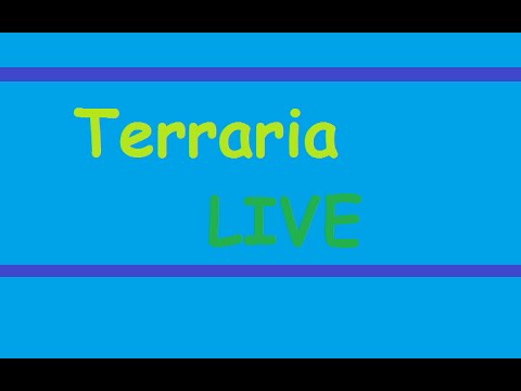 Mein allererster Livestream
