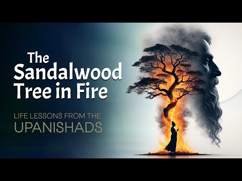 The Burning Sandalwood Tree: A Powerful Upanishadic Lesson on Resilience & Wisdom!