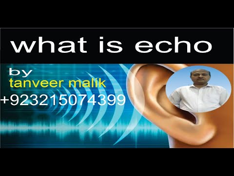 Echo|what is echo|making echo|