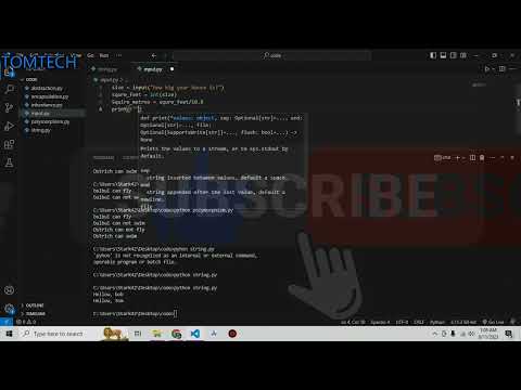 Input() function in Python