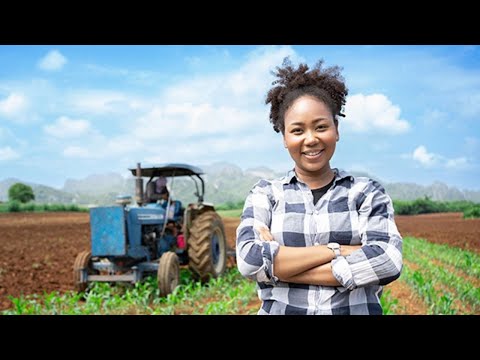 Kenya's Youth Agriculture Crisis | The Missing Link to the Kenyan Dream