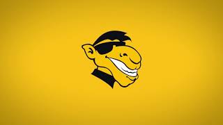 TheCamel Custom Solution