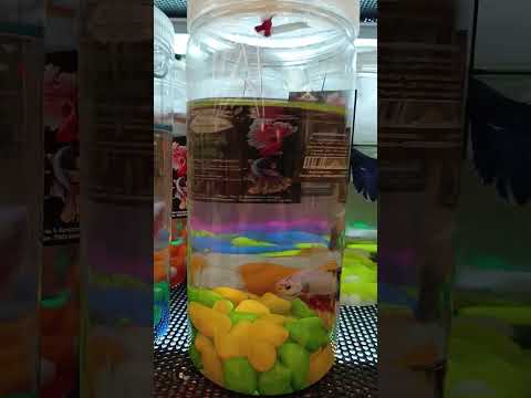 #fishing #fish #lulumall