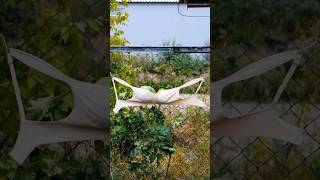 The Official Guide to Life hacks tips and tricks  #lifehacks #lifehacksforkids #lifehacksforhome