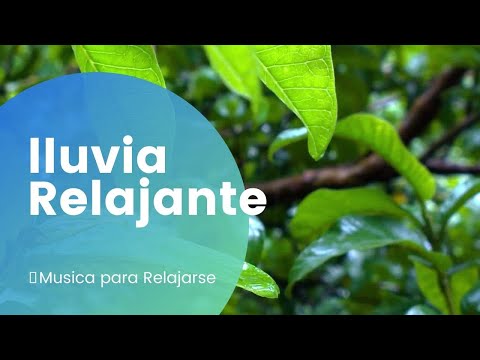 【1 HOUR】🧘 Musica para Relajarse | Ruido de lluvia