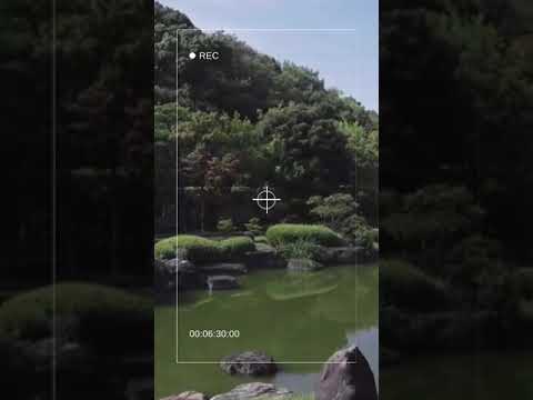 Relajación ~ meditación ~ atención plena #shorts