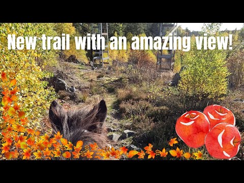 New trail with an amazing view! | Riding vlog | GoPro Hero 10 | Icelandic Horse Adventures