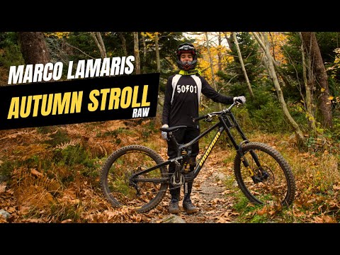 MARCO LAMARIS | AUTUMN STROLL | RAW