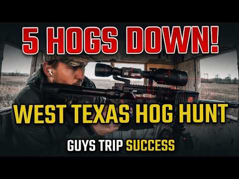 West Texas Hog Hunt