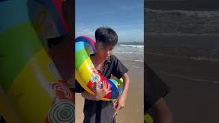 [CCS] The grateful turtle 🐢✨ #shorts