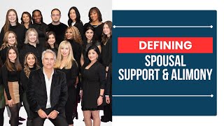What [Determines Spousal Support In Michigan And What Does Permanent Alimony Mean] - Michigan Law
