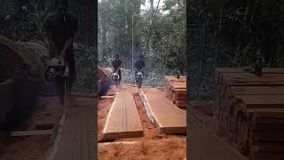 professional wood splitting techniques and skills with precise results #shorts