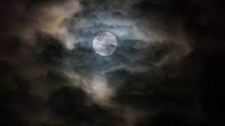 Dark Night Music | Late Night Music | Insect Noise Rhythm | Thrilling Music of the Night