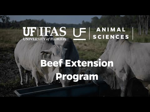 National Beef Month - Extension at UF Animal Sciences