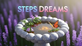 Small Steps, Big Dreams