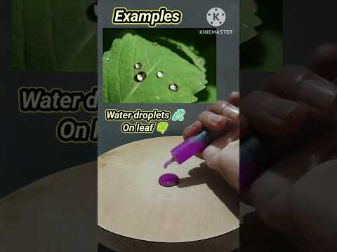 SURFACE TENSION by Water On Coin | IMP For Class 11 Science |