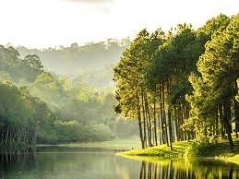 No Copyright Cinematic Background Music  Into The Nature Vol 01