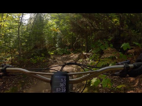 Copper Harbor peak fall colors and corners for days!  2024