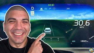 How to Change the Dash Display Theme | Kia Sportage (2023-2024)