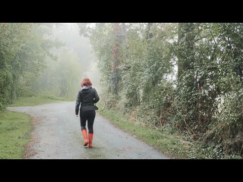 A misty photowalk in the French countryside (relaxing)