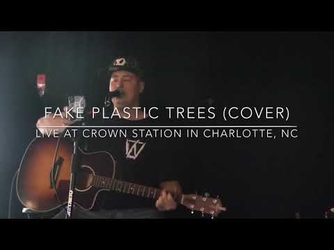 Fake Plastic Trees [Cover]