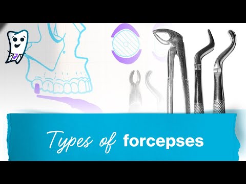 Dental Forceps Selection 101: A Step-by-Step Guide to Choosing the Right One!