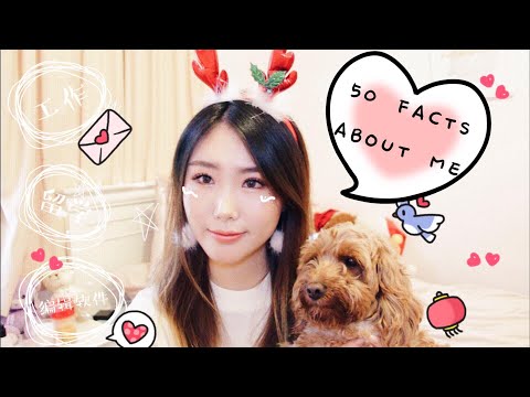 关于我的50个问题＋抽奖 🎁 50 FACTS ABOUT ME｜大学｜工作｜博主工作｜爱情