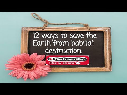 12 ways to save the Earth from habitat destruction | Your actions make a difference!