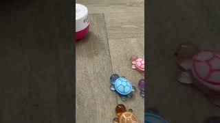 Mini resin animals!! #ducks #turtle #dinosaur #resin #animals #trending #viralvideo #blowup #preppy