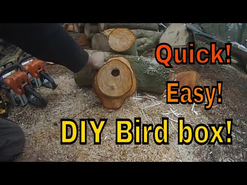 !!!Best Wooden Bird Box!!!, Looks Great and Is Easy to Make!!!