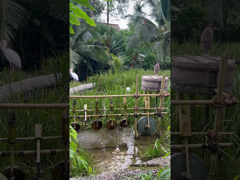 Kingfisher Wetlands Clock Tower"at Bird Paradise in Singapore (formerly part of Jurong Bird Park)