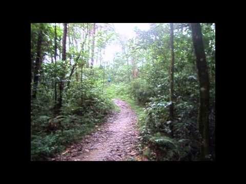 Downhill Horto - SP