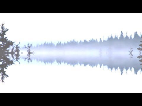 BLVCK CEILING - Canyon Crypts