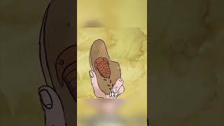 The Life of a Stone..#anime  #shorts #fyp #animation