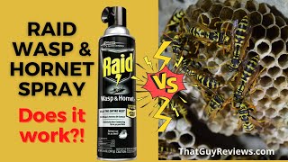 RAID Wasp & Hornet Spray 👍 🐝 #Shorts